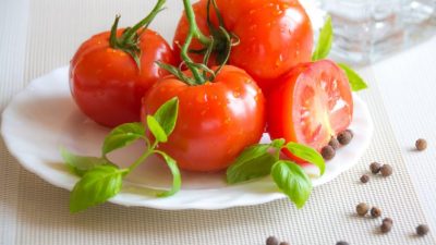 ¿Por qué los tomates son repelidos por los imanes?