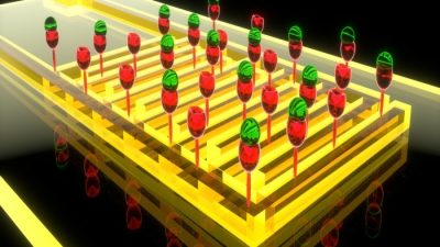 Un nuevo biosensor detecta el cáncer de páncreas con mayor precisión