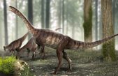 Hallan ‘sin querer’ los restos del dinosaurio de cuello largo más antiguo del mundo