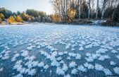 Misteriosas flores de hielo ‘crecen’ en la superficie congelada de un río en Rusia