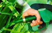 El combustible diésel ecológico a partir de algas está cerca de ser una realidad