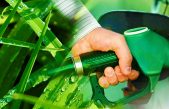El combustible diésel ecológico a partir de algas está cerca de ser una realidad