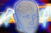 El cerebro masculino y el femenino sí son diferentes