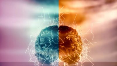 ¿Cuál es la diferencia entre el lado derecho y el izquierdo del cerebro?