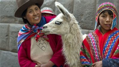 Descubren en la sangre de las llamas la clave para curar todos los tipos de gripe