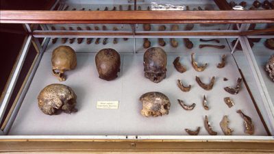 La compleja prehistoria genética de América