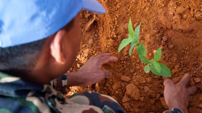 Día para la Prevención de la Explotación del Medio Ambiente en la Guerra y los Conflictos Armados