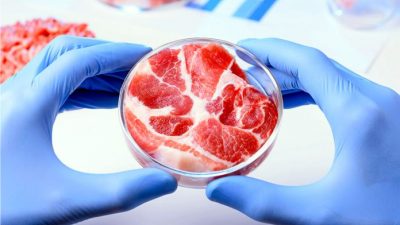 ¿Carne de res sin sacrificar ganado? En 2020 podríamos comer filetes cultivados en laboratorio