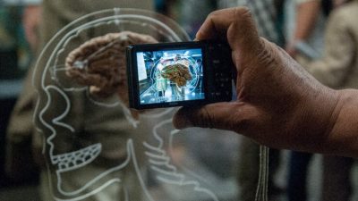 Estudio sugiere que pasar mucho tiempo ante una pantalla produce daños cerebrales en los niños