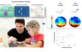 Entrenar la atención mejora la inteligencia y el funcionamiento del cerebro de los niños