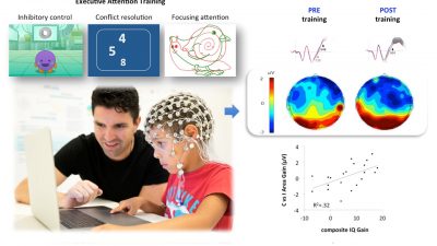 Entrenar la atención mejora la inteligencia y el funcionamiento del cerebro de los niños