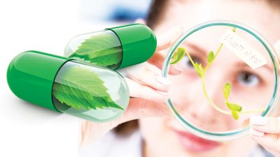 México, segundo lugar en plantas medicinales
