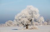 Solsticio de invierno: 10 cosas que tienes saber sobre el invierno que empieza hoy