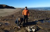 Una familia de Miramar encontró de casualidad los restos fósiles de un perezoso gigante