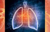 Diseñan un ‘pulmón’ que crea combustible del agua