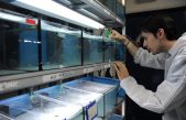Inteligencia artificial para identificar a cien individuos en una multitud