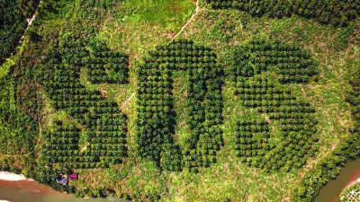 Noruega prohíbe la compra de biocombustibles ligados a la deforestación