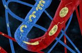 Crean microrobots inteligentes que se adaptan a su entorno