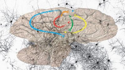 El cerebro aprende hablando consigo mismo