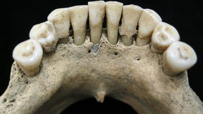 Los dientes azules de la primera ilustradora medieval