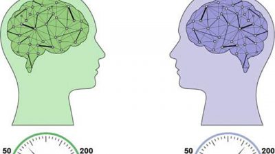 La dinámica del cerebro es la misma para todas las personas