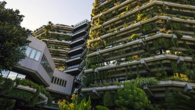 Edificios inspirados en la naturaleza