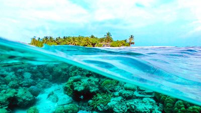 Los avances ambientales conseguidos en 2018: más cerca de un futuro ecológico