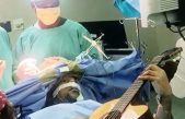 Jazzista toca la guitarra al tiempo que médicos le quitan un tumor del cerebro