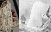Descubren una bestia marina fósil similar a Moby-Dick