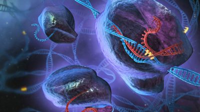 Científicos diseñan un nuevo sistema CRISPR para la edición del ADN