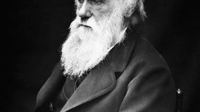 Día de Darwin