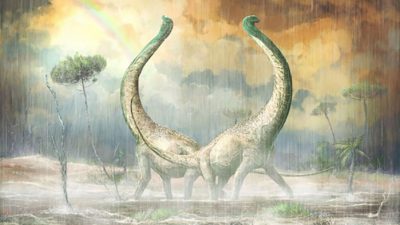 La ‘bestia de Mtuka’, un excepcional titanosaurio hallado en Tanzania