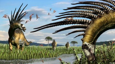 Un nuevo dinosaurio espinoso muestra sus increíbles armas de defensa