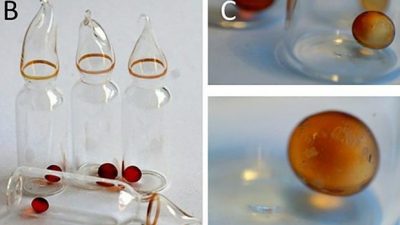 Primeros resultados del experimento que durará 500 años