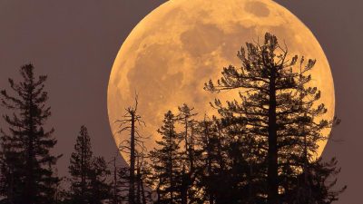 No te pierdas esta noche la Superluna de nieve más brillante y cercana a la Tierra