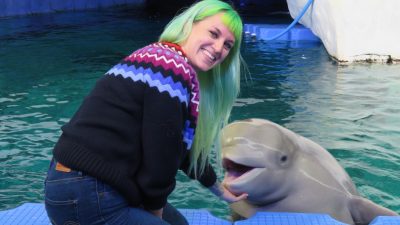 Las madres beluga enseñan a sus hijos un ‘nombre de familia’