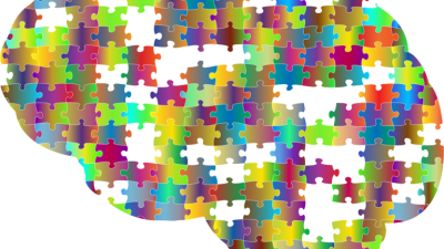 El cerebro humano tarda en madurar