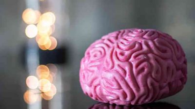 El cerebro se adapta al ritmo de la voz para aprender palabras