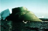 ¿Por qué hay icebergs que son de color verde en la Antártida?
