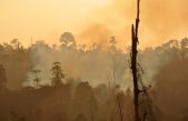 El calor extremo representa un riesgo inaceptable para la salud en todo el mundo