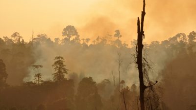 El calor extremo representa un riesgo inaceptable para la salud en todo el mundo