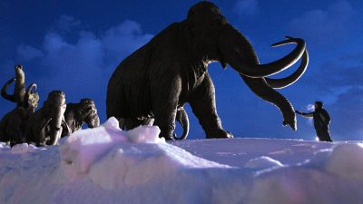 Científicos logran resucitar células de un mamut