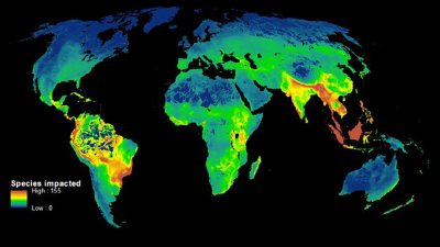 El primer mapa que muestra cómo los humanos destruyen la biodiversidad
