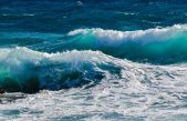 Las olas de calor marinas amenazan la biodiversidad de los océanos