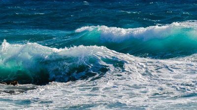 Las olas de calor marinas amenazan la biodiversidad de los océanos