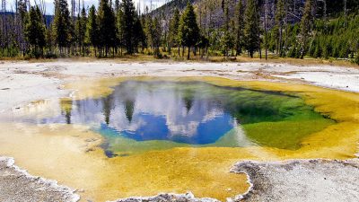 ‘Cazan’ en Yellowstone una bacteria que ‘se come’ la contaminación y produce electricidad