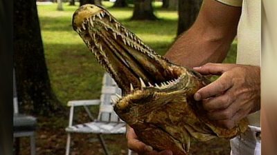 Tres hombres logran capturar un extraño pez prehistórico en un lago de Oklahoma