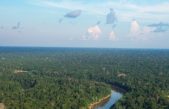 La ‘invasión’ humana altera la calidad del aire de la selva amazónica