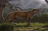 Simbakubwa kutokaafrika, el nuevo carnívoro gigante escondido en el cajón de un museo