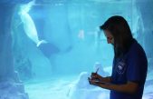 Zoos y acuarios, los nuevos laboratorios